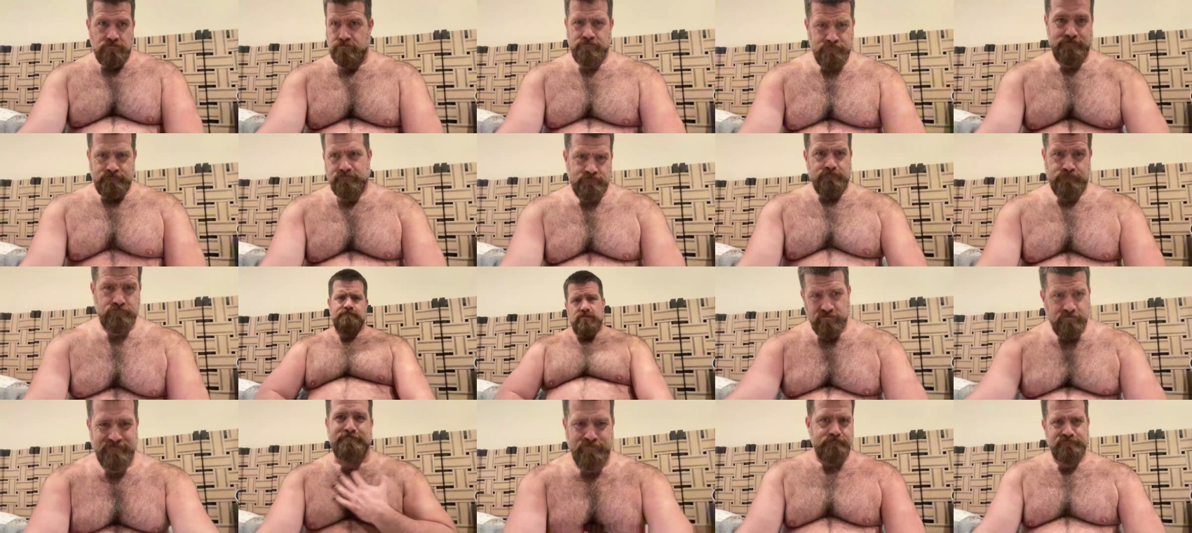 bearjocknwdc  17-01-2022